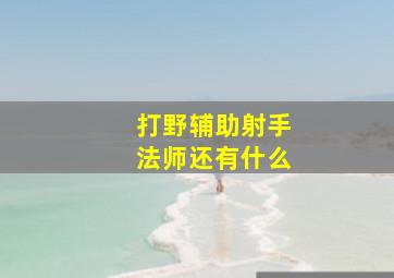 打野辅助射手法师还有什么