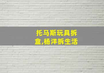 托马斯玩具拆盒,杨洋拆生活