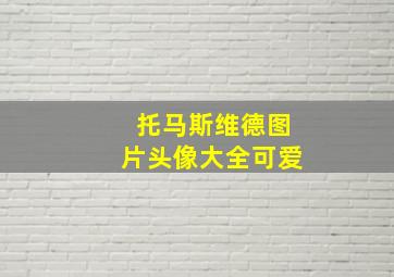 托马斯维德图片头像大全可爱