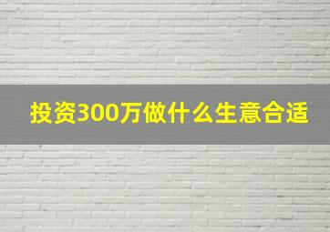 投资300万做什么生意合适