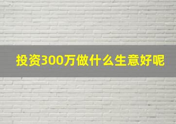 投资300万做什么生意好呢