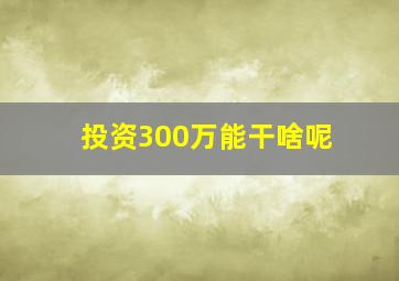 投资300万能干啥呢