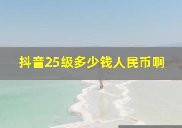 抖音25级多少钱人民币啊