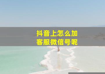 抖音上怎么加客服微信号呢