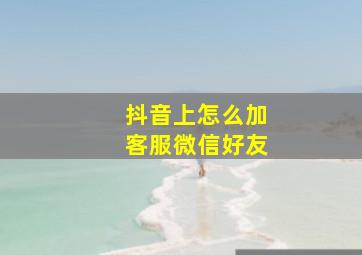 抖音上怎么加客服微信好友