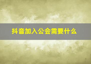 抖音加入公会需要什么