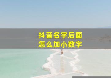 抖音名字后面怎么加小数字