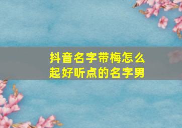 抖音名字带梅怎么起好听点的名字男