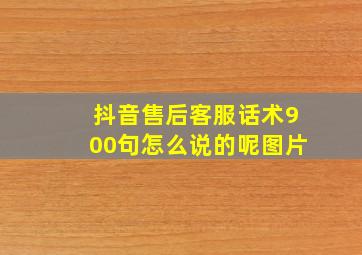 抖音售后客服话术900句怎么说的呢图片