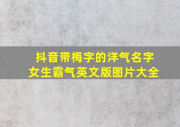 抖音带梅字的洋气名字女生霸气英文版图片大全