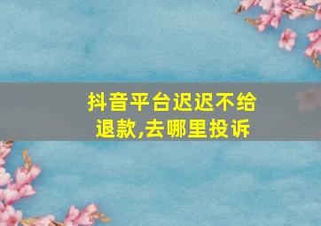 抖音平台迟迟不给退款,去哪里投诉