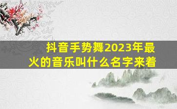 抖音手势舞2023年最火的音乐叫什么名字来着