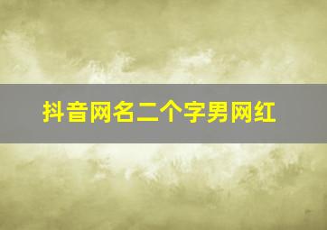 抖音网名二个字男网红