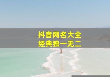 抖音网名大全经典独一无二