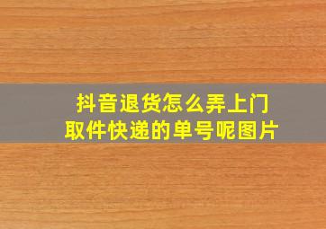 抖音退货怎么弄上门取件快递的单号呢图片