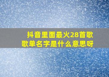 抖音里面最火28首歌歌单名字是什么意思呀