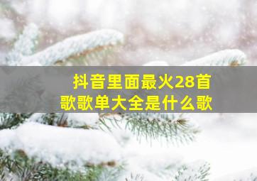 抖音里面最火28首歌歌单大全是什么歌