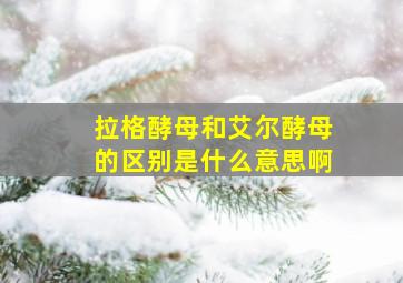 拉格酵母和艾尔酵母的区别是什么意思啊