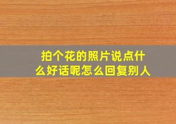 拍个花的照片说点什么好话呢怎么回复别人