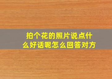 拍个花的照片说点什么好话呢怎么回答对方