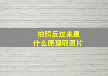 拍照反过来是什么原理呢图片