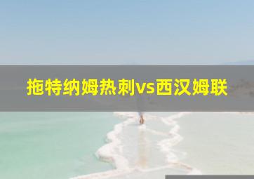 拖特纳姆热刺vs西汉姆联