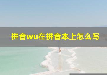 拼音wu在拼音本上怎么写