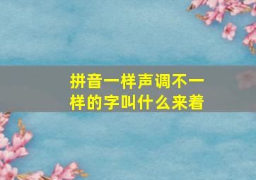 拼音一样声调不一样的字叫什么来着