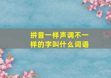 拼音一样声调不一样的字叫什么词语