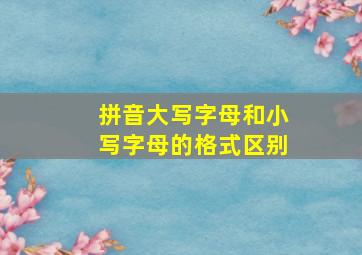 拼音大写字母和小写字母的格式区别