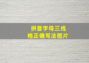 拼音字母三线格正确写法图片