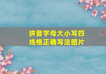 拼音字母大小写四线格正确写法图片