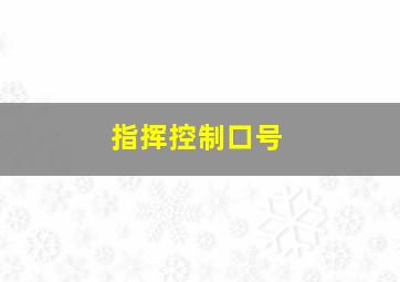 指挥控制口号