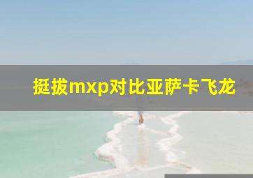 挺拔mxp对比亚萨卡飞龙