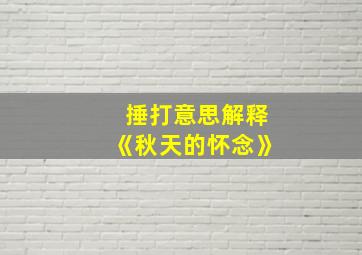 捶打意思解释《秋天的怀念》