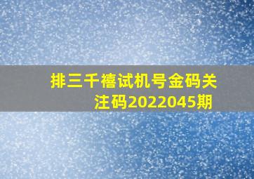 排三千禧试机号金码关注码2022045期