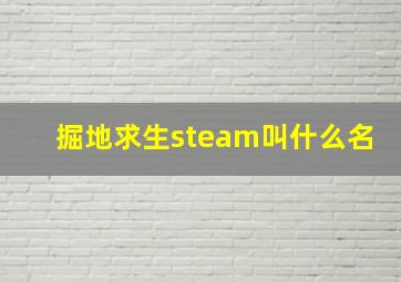 掘地求生steam叫什么名