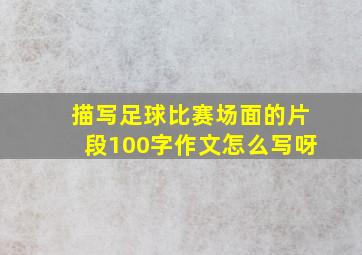 描写足球比赛场面的片段100字作文怎么写呀