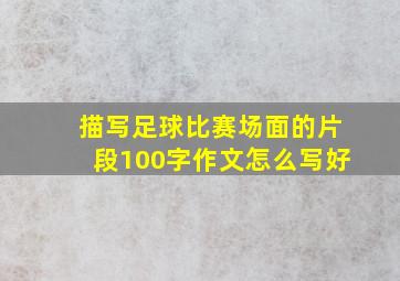 描写足球比赛场面的片段100字作文怎么写好