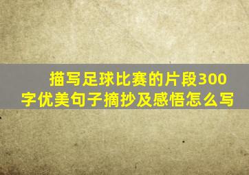 描写足球比赛的片段300字优美句子摘抄及感悟怎么写