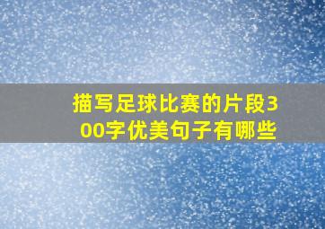 描写足球比赛的片段300字优美句子有哪些