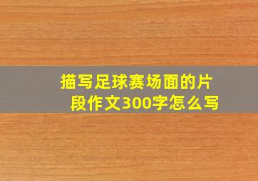 描写足球赛场面的片段作文300字怎么写