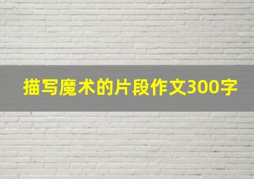 描写魔术的片段作文300字