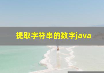 提取字符串的数字java