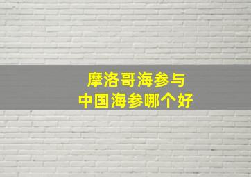 摩洛哥海参与中国海参哪个好