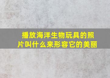 播放海洋生物玩具的照片叫什么来形容它的美丽