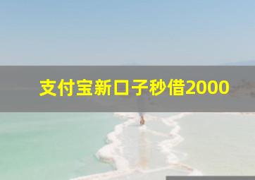 支付宝新口子秒借2000