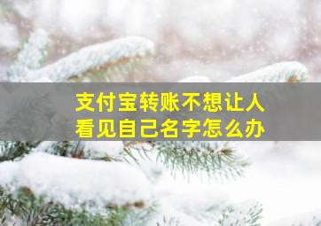 支付宝转账不想让人看见自己名字怎么办