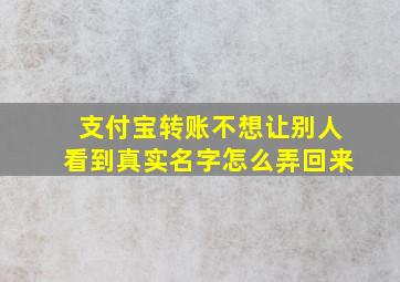 支付宝转账不想让别人看到真实名字怎么弄回来