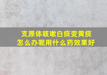 支原体咳嗽白痰变黄痰怎么办呢用什么药效果好